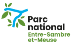 Logo 2