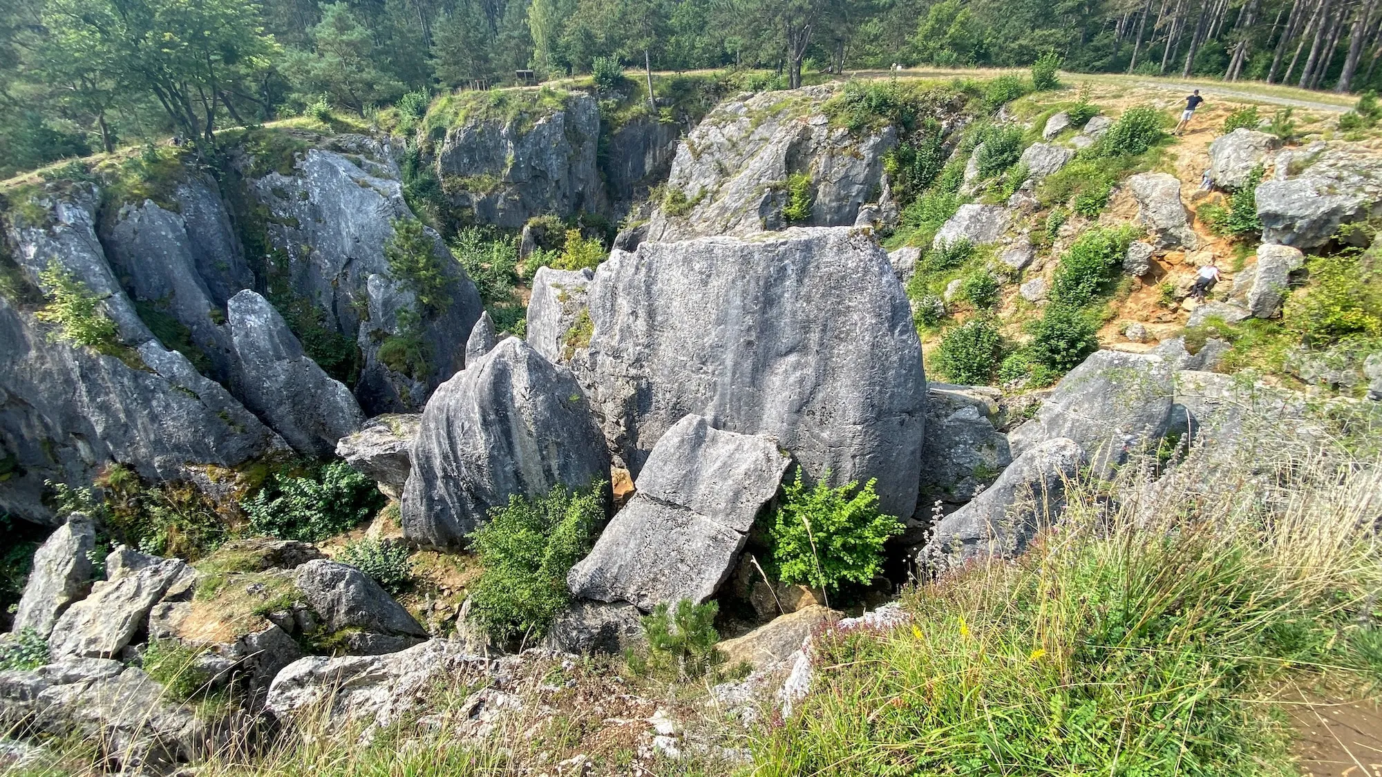 Nature à Viroinval